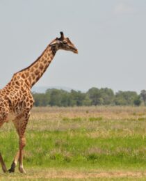 IMG-20260804-WA0027