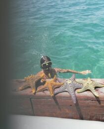 IMG-20260829-WA0003
