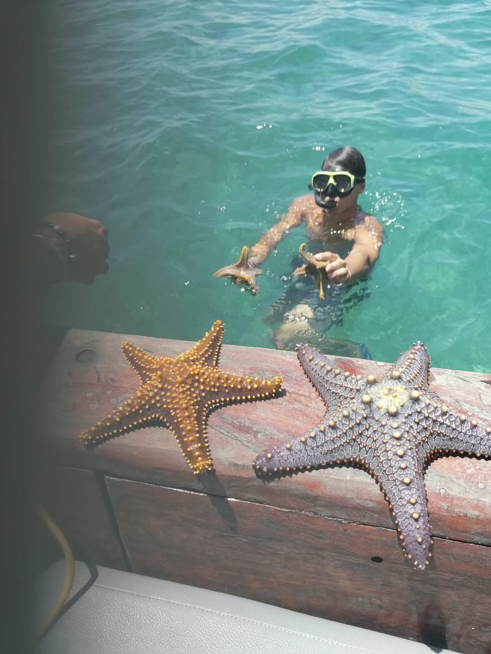 IMG-20260829-WA0004